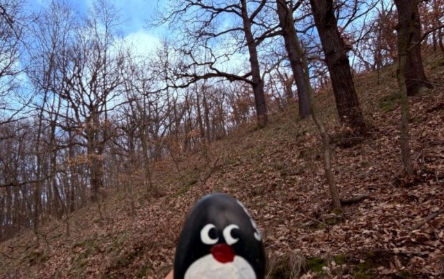 Hand-painted penguin stone #892 hidden at Prirodni pamatka Skalka, Prague, Czechia