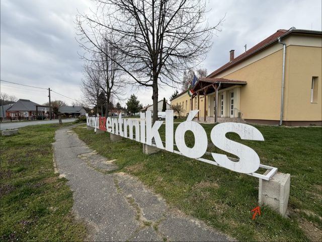 Hand-painted penguin stone #894 hidden at Town Sign, Tornyiszentmiklos, Hungary (photo 3 of 4)