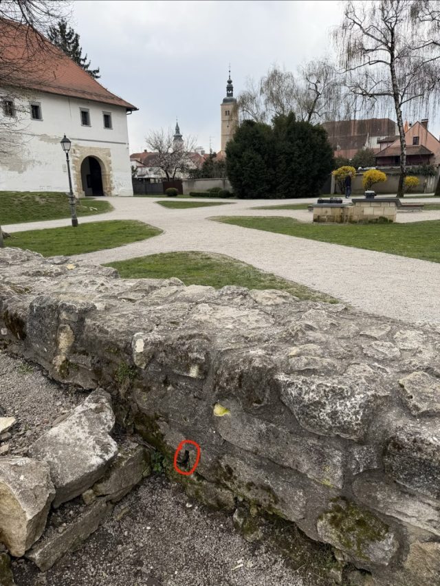 Hand-painted penguin stone #920 hidden at Stari Grad, Varazdin, Croatia (photo 4 of 5)