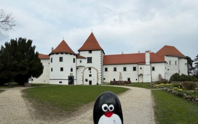 Ručne maľovaný tučniakový kameň č. 920 ukrytý na mieste Stari Grad, Varaždin, Chorvátsko