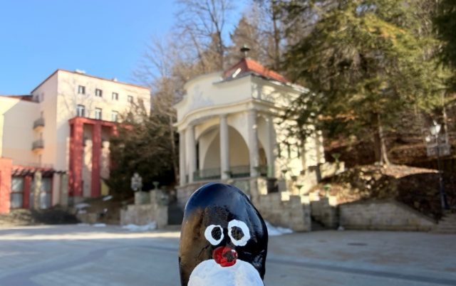 Hand-painted penguin stone #925 hidden at Close to Stary Dom Zdrojowy, Krynica, Poland