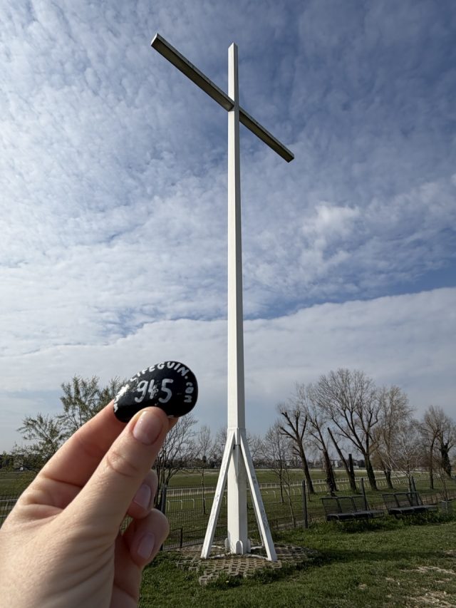Hand-painted penguin stone #945 hidden at The Cross, Zagreb, Croatia (photo 3 of 5)
