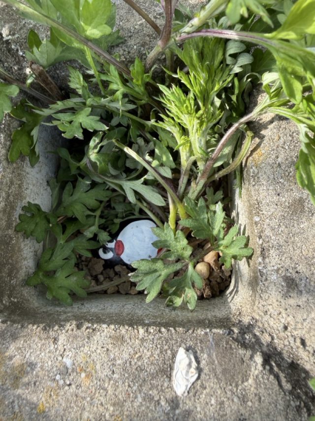 Hand-painted penguin stone #945 hidden at The Cross, Zagreb, Croatia (photo 4 of 5)