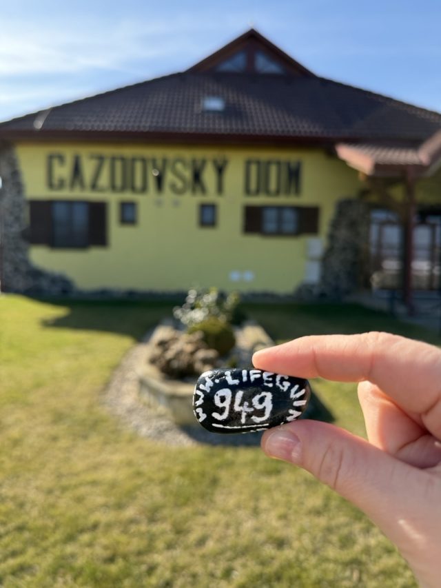 Hand-painted penguin stone #949 hidden at Gazdovsky dvor, Velke Raskovce, Slovakia (photo 2 of 5)