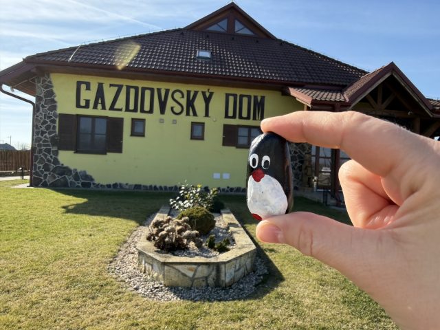 Hand-painted penguin stone #949 hidden at Gazdovsky dvor, Velke Raskovce, Slovakia (photo 3 of 5)