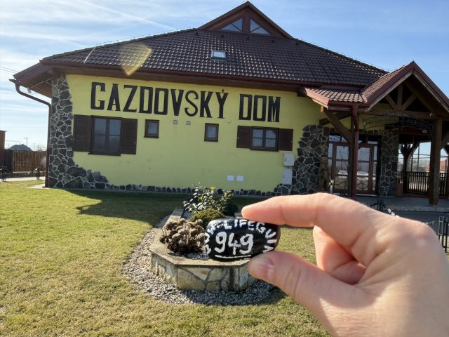 Hand-painted penguin stone #949 hidden at Gazdovsky dvor, Velke Raskovce, Slovakia (photo 4 of 5)