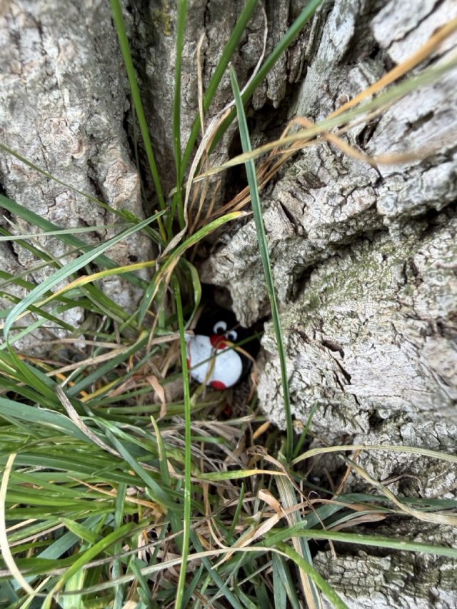 Hand-painted penguin stone #955 hidden at Bench, Stadel bei Niederglatt, Switzerland (photo 3 of 5)