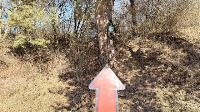 Hand-painted penguin stone #977 hidden at Bike Trail, Chmelnica, Slovakia (photo 4 of 5)