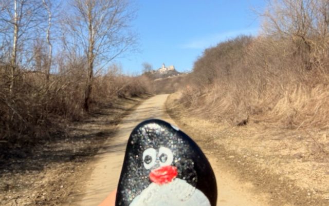 Hand-painted penguin stone #977 hidden at Bike Trail, Chmelnica, Slovakia