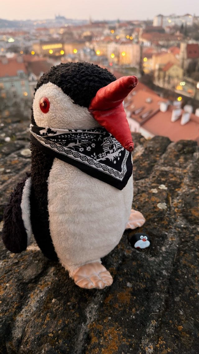 Hand-painted penguin stone #991 hidden at Vysehrad Viewpoint, Prague, Czechia (photo 4 of 5)