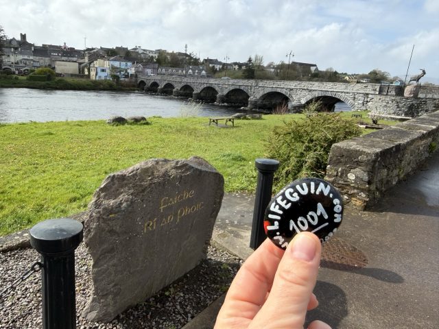 Hand-painted penguin stone #1001 hidden at Close to King Puck Statue, Killorglin, Ireland (photo 2 of 5)
