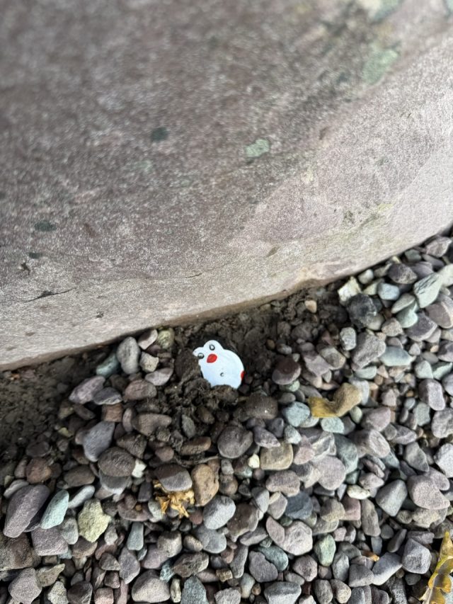 Hand-painted penguin stone #1001 hidden at Close to King Puck Statue, Killorglin, Ireland (photo 3 of 5)