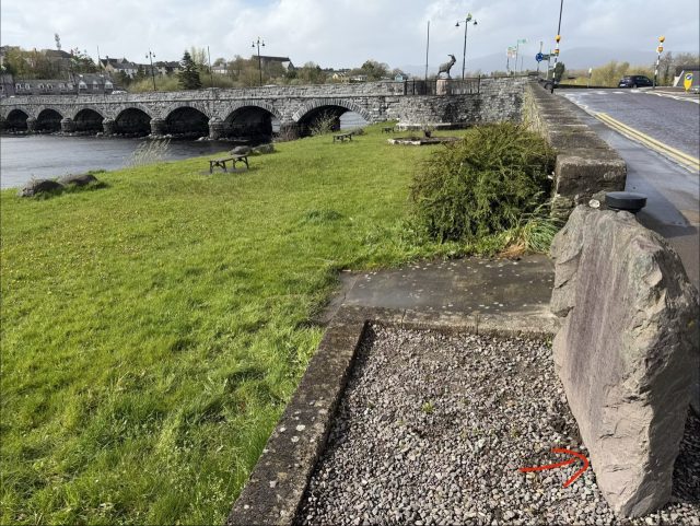 Hand-painted penguin stone #1001 hidden at Close to King Puck Statue, Killorglin, Ireland (photo 4 of 5)