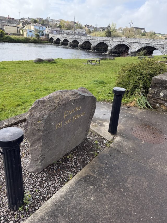 Hand-painted penguin stone #1001 hidden at Close to King Puck Statue, Killorglin, Ireland (photo 5 of 5)
