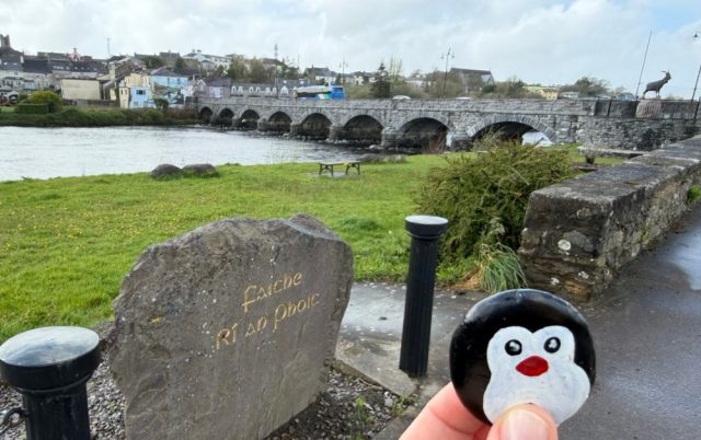 Ručne maľovaný tučniakový kameň č. 1001 ukrytý na mieste Close to King Puck Statue, Killorglin, Írsko