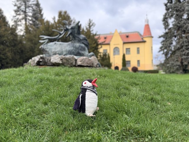 Hand-painted penguin stone #1002 hidden at Deer Statue, Topolcianky, Slovakia (photo 2 of 4)