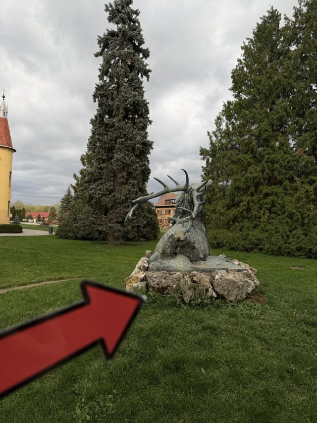 Hand-painted penguin stone #1002 hidden at Deer Statue, Topolcianky, Slovakia (photo 3 of 4)