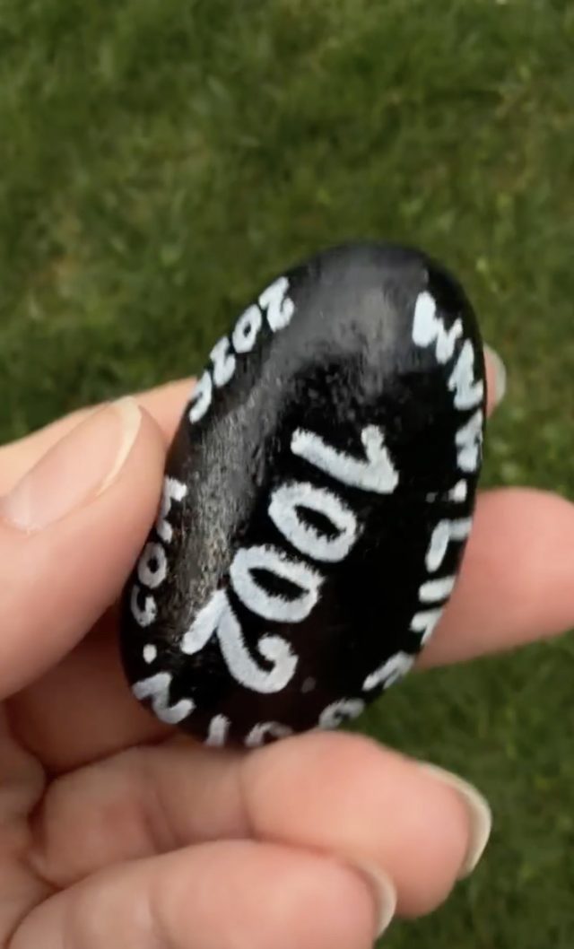 Hand-painted penguin stone #1002 hidden at Deer Statue, Topolcianky, Slovakia (photo 4 of 4)