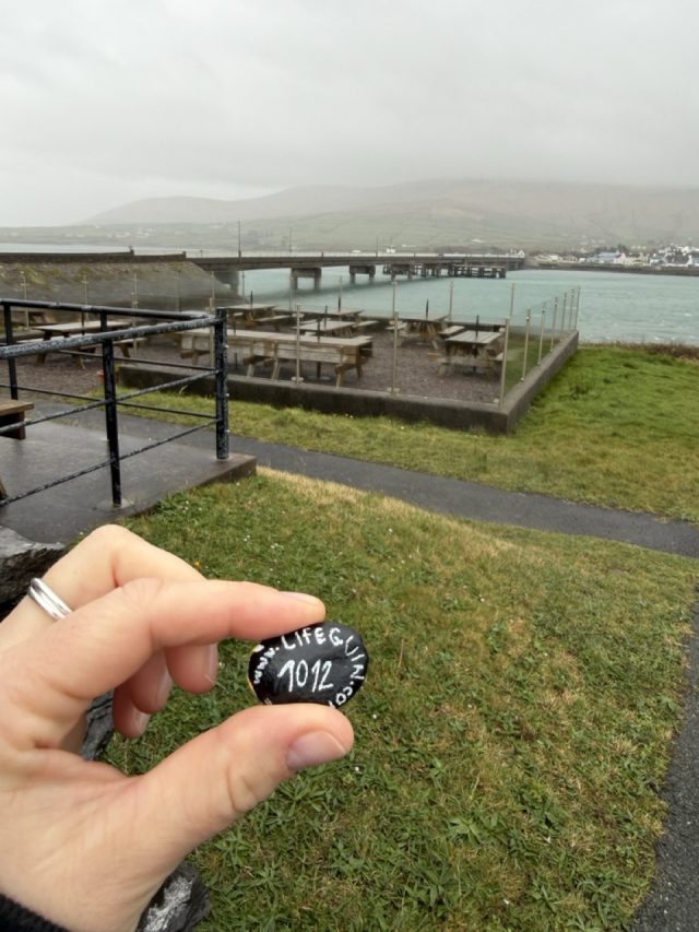 Hand-painted penguin stone #1012 hidden at The Skellig Experience Visitor Centre, Valentia, Ireland (photo 2 of 5)