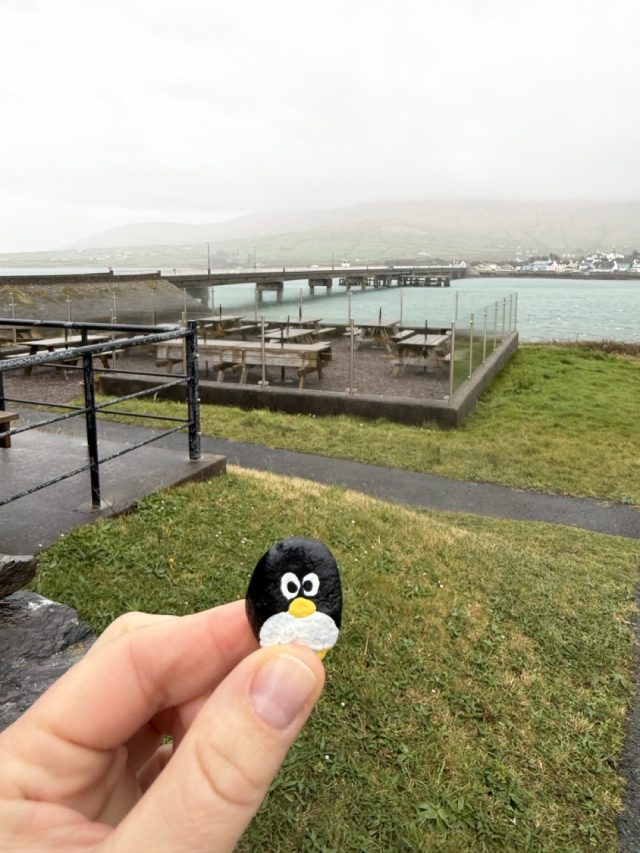 Hand-painted penguin stone #1012 hidden at The Skellig Experience Visitor Centre, Valentia, Ireland (photo 3 of 5)