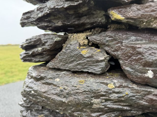 Hand-painted penguin stone #1012 hidden at The Skellig Experience Visitor Centre, Valentia, Ireland (photo 5 of 5)