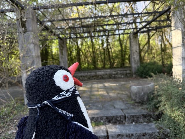 Hand-painted penguin stone #1015 hidden at Flower Corridor, Arboretum Mlynany SAV, Slovakia (photo 3 of 5)