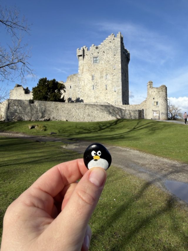 Hand-painted penguin stone #1016 hidden at Ross Castle, Killarney, Ireland (photo 2 of 5)