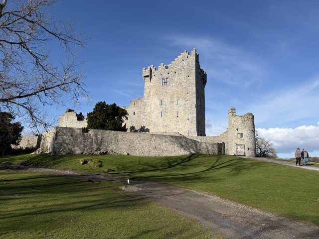 Hand-painted penguin stone #1016 hidden at Ross Castle, Killarney, Ireland (photo 3 of 5)