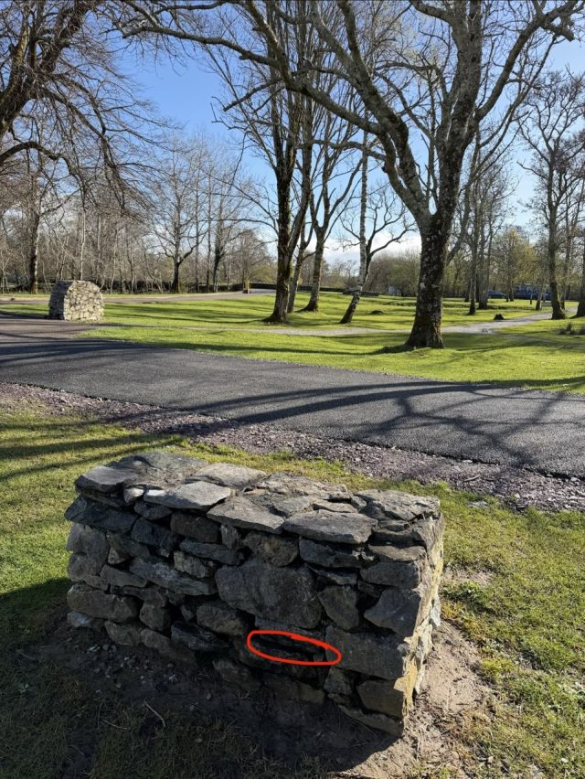Hand-painted penguin stone #1016 hidden at Ross Castle, Killarney, Ireland (photo 5 of 5)