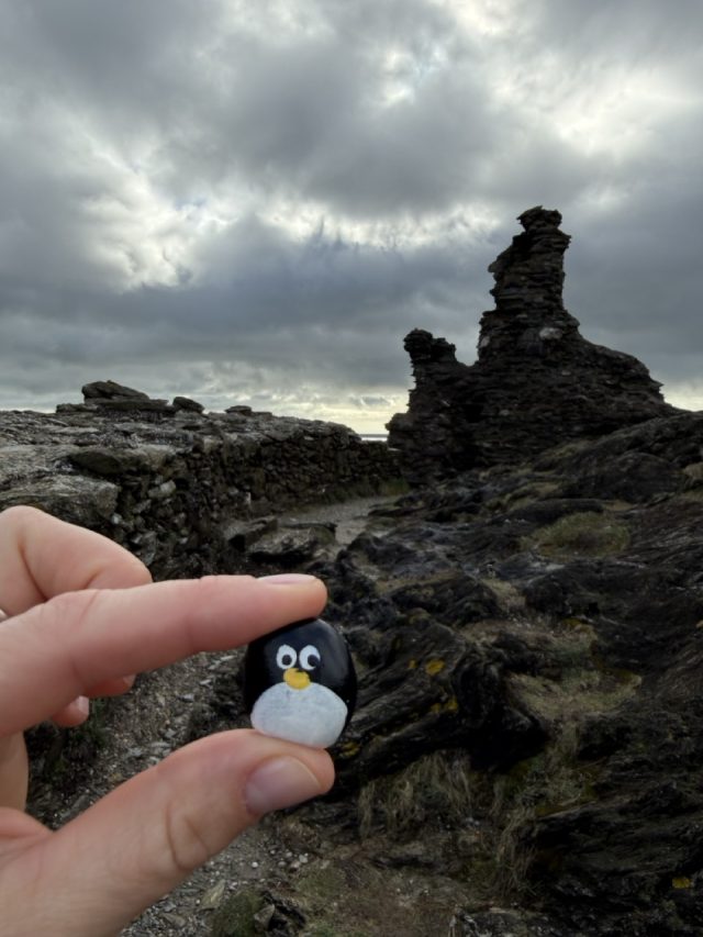 Hand-painted penguin stone #1019 hidden at Black Castle, Wicklow, Ireland (photo 2 of 5)