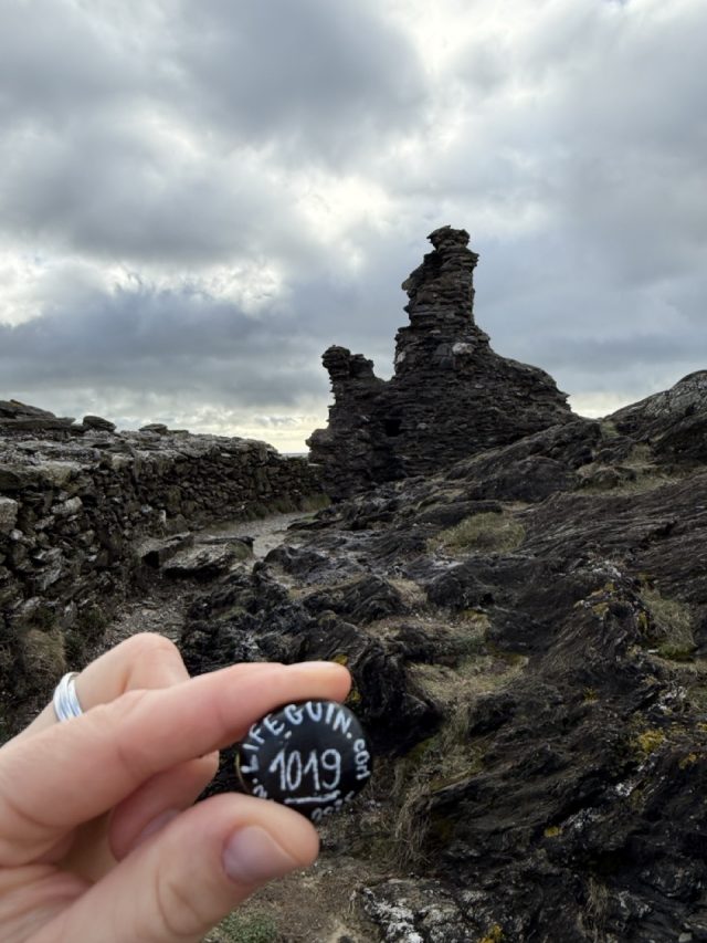 Hand-painted penguin stone #1019 hidden at Black Castle, Wicklow, Ireland (photo 3 of 5)
