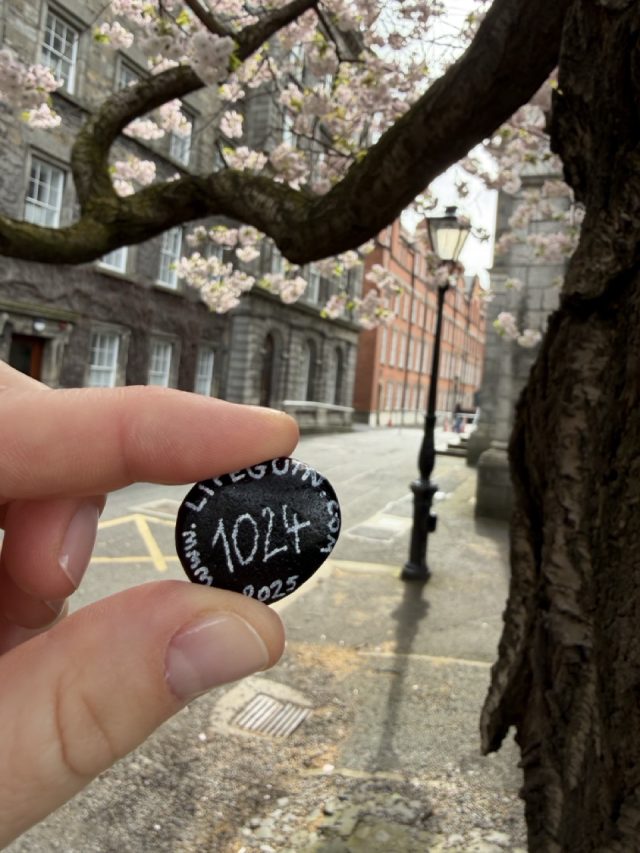 Hand-painted penguin stone #1024 hidden at Trinity College, Dublin, Ireland (photo 2 of 5)