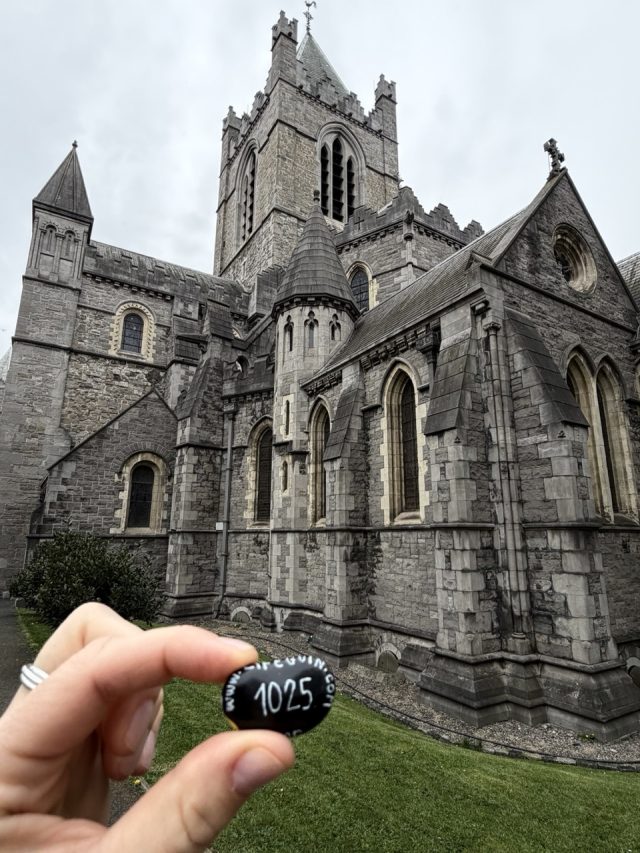 Hand-painted penguin stone #1025 hidden at Christ Church Cathedral, Dublin, Ireland (photo 3 of 5)