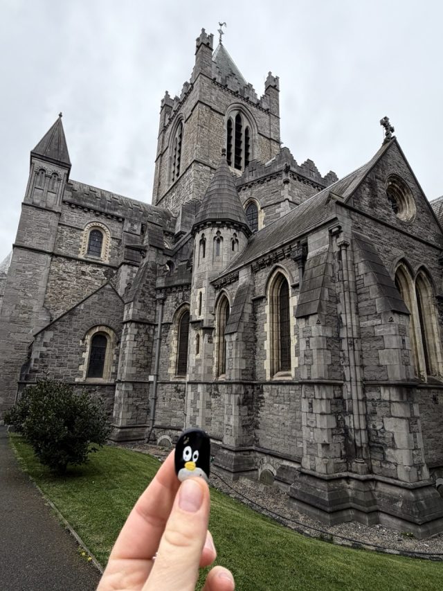 Hand-painted penguin stone #1025 hidden at Christ Church Cathedral, Dublin, Ireland (photo 4 of 5)