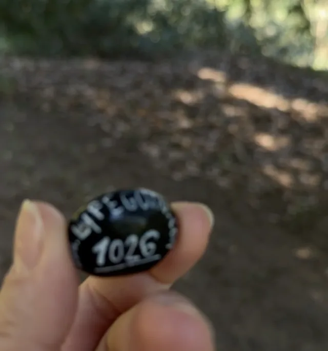 Hand-painted penguin stone #1026 hidden at Torreya nucifera, Arboretum Mlynany SAV, Slovakia (photo 3 of 5)