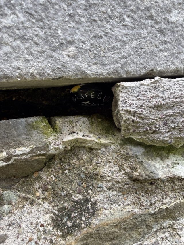 Hand-painted penguin stone #1029 hidden at Listowel Castle, Listowel, Ireland (photo 5 of 5)
