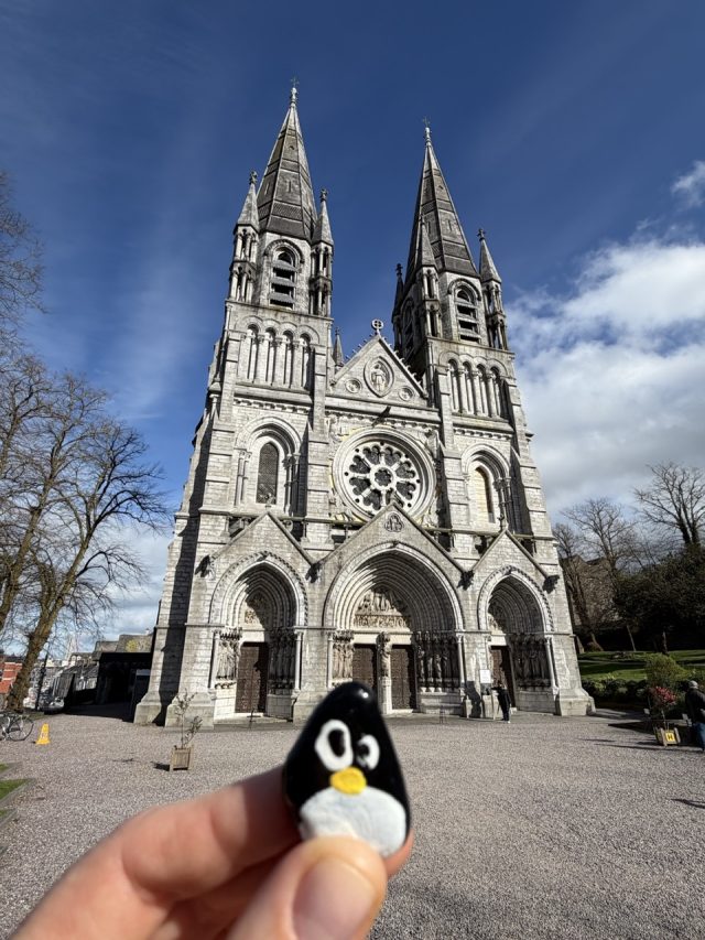 Hand-painted penguin stone #1032 hidden at Saint Fin Barre's Cathedral, Cork, Ireland (photo 2 of 5)