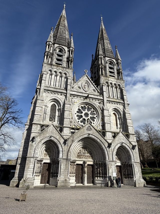 Hand-painted penguin stone #1032 hidden at Saint Fin Barre's Cathedral, Cork, Ireland (photo 3 of 5)
