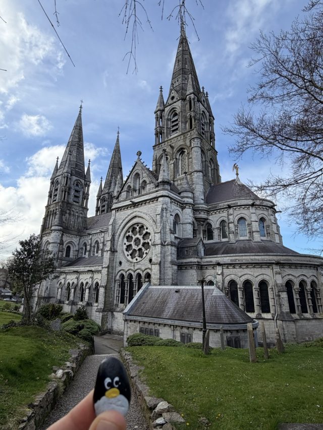 Hand-painted penguin stone #1035 hidden at Saint Fin Barre's Cathedral, Cork, Ireland (photo 3 of 5)