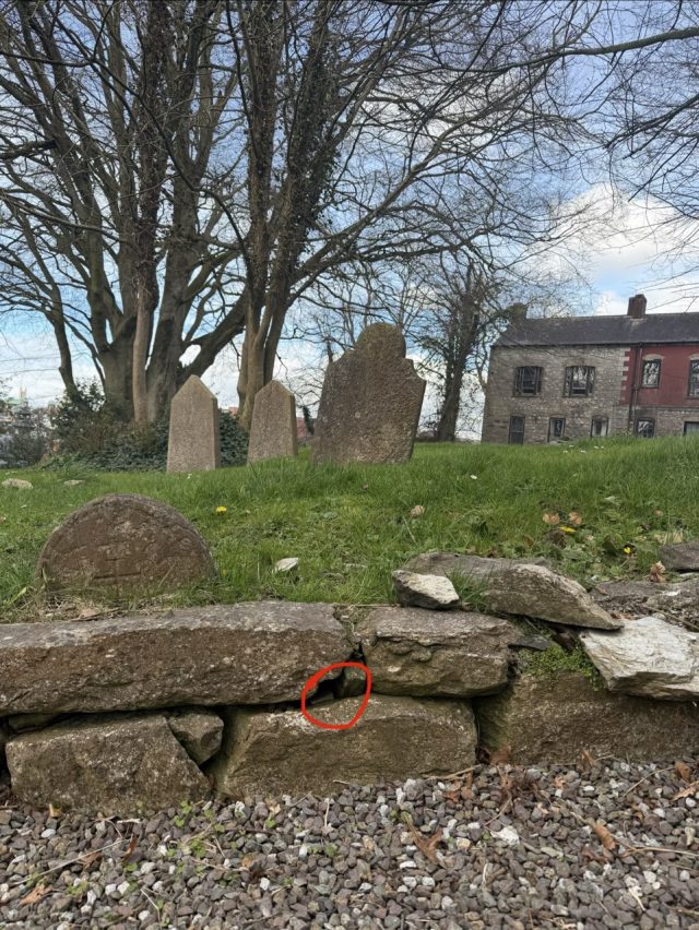 Hand-painted penguin stone #1035 hidden at Saint Fin Barre's Cathedral, Cork, Ireland (photo 5 of 5)