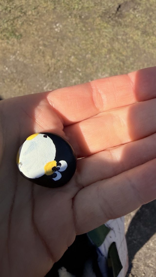 Hand-painted penguin stone #1039 hidden at Information Board, Cicmany, Slovakia (photo 2 of 5)