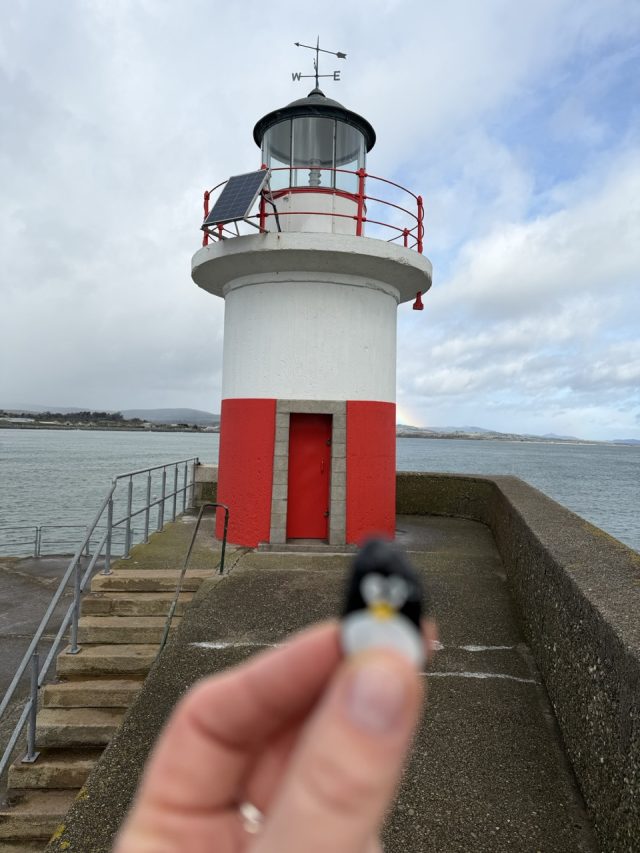 Hand-painted penguin stone #1040 hidden at East Pier Head Light, Wicklow, Ireland (photo 2 of 5)