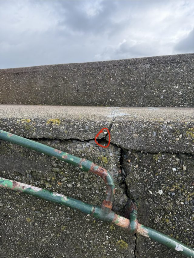 Hand-painted penguin stone #1040 hidden at East Pier Head Light, Wicklow, Ireland (photo 5 of 5)