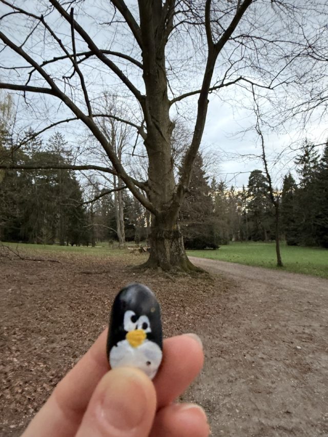 Hand-painted penguin stone #1042 hidden at Tree at Park in Topolcianky, Topolcianky, Slovakia (photo 4 of 5)