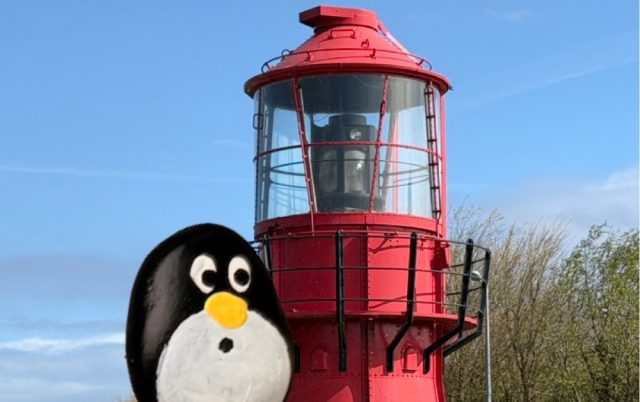 Ručne maľovaný tučniakový kameň č. 1045 ukrytý na mieste Alf Skua Lightship Lantern, Arklow, Írsko