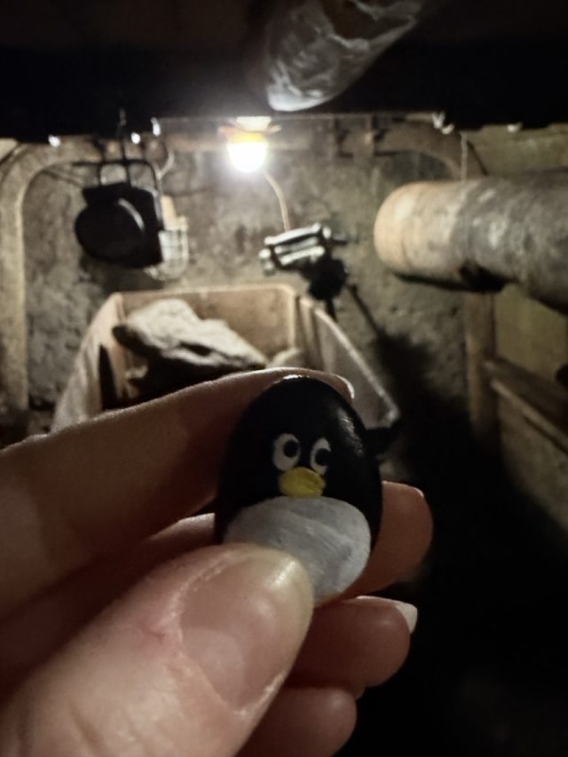 Hand-painted penguin stone #1046 hidden at Museum of Coins and Medals, Kremnica, Slovakia (photo 3 of 5)