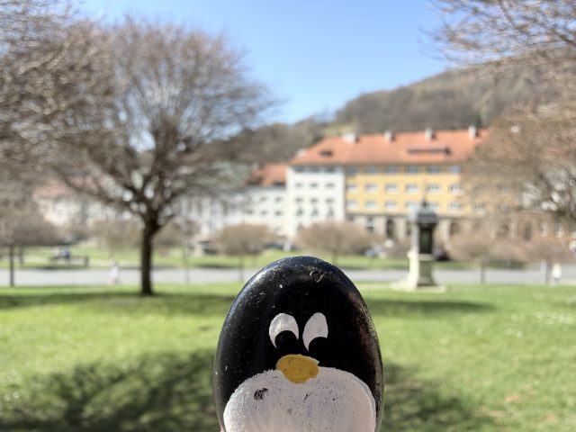 Hand-painted penguin stone #1047 hidden at Kremnica Castle, Kremnica, Slovakia (photo 2 of 5)