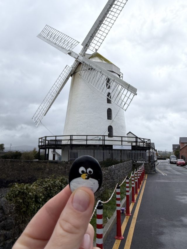 Hand-painted penguin stone #1048 hidden at Blennerville Windmill, Tralee, Ireland (photo 4 of 5)