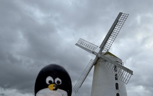 Ručne maľovaný tučniakový kameň č. 1048 ukrytý na mieste Blennerville Windmill, Tralee, Írsko