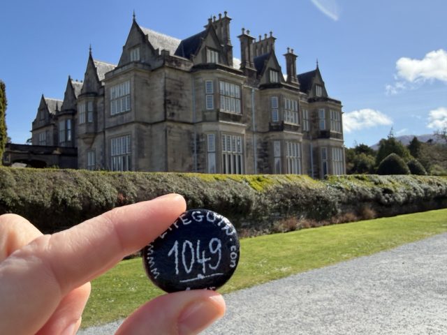 Hand-painted penguin stone #1049 hidden at Muckross House, Killarney, Ireland (photo 2 of 5)